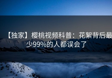 【独家】樱桃视频科普：花絮背后最少99%的人都误会了