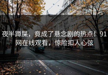 夜半蹲屎，竟成了悬念剧的热点！91网在线观看，惊险扣人心弦