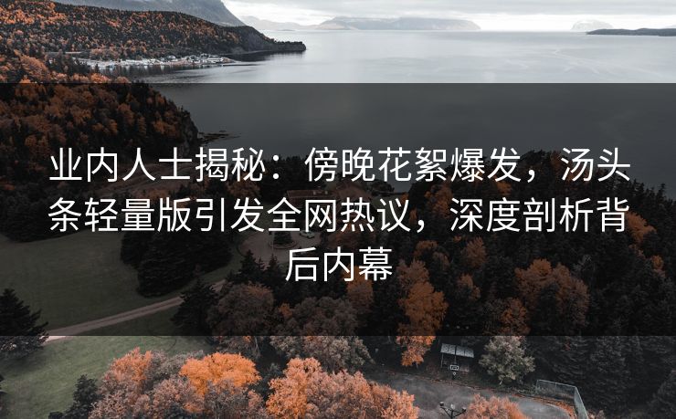 业内人士揭秘：傍晚花絮爆发，汤头条轻量版引发全网热议，深度剖析背后内幕