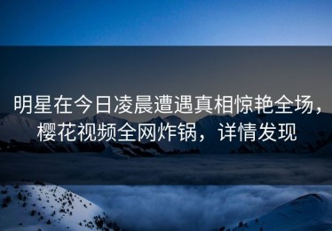 明星在今日凌晨遭遇真相惊艳全场，樱花视频全网炸锅，详情发现
