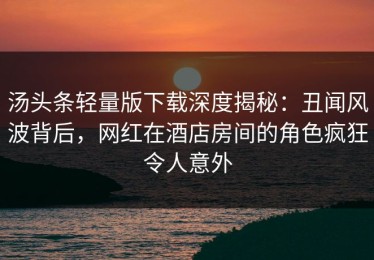 汤头条轻量版下载深度揭秘：丑闻风波背后，网红在酒店房间的角色疯狂令人意外