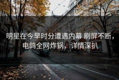 明星在今早时分遭遇内幕 刷屏不断，电鸽全网炸锅，详情深扒