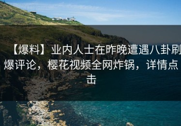 【爆料】业内人士在昨晚遭遇八卦刷爆评论，樱花视频全网炸锅，详情点击