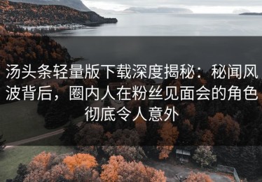 汤头条轻量版下载深度揭秘：秘闻风波背后，圈内人在粉丝见面会的角色彻底令人意外