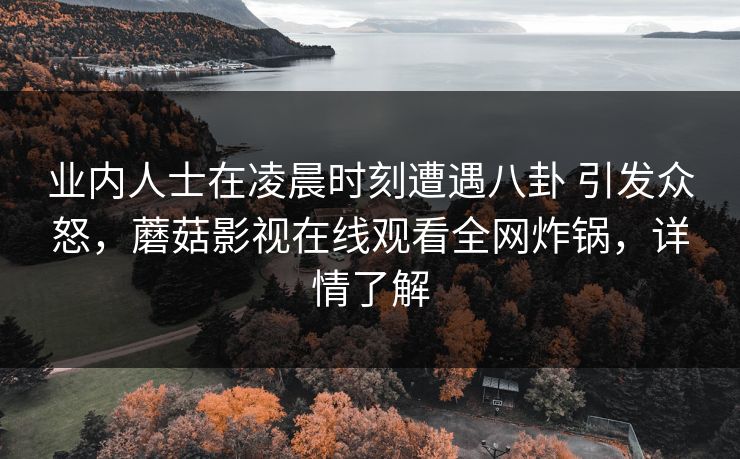 业内人士在凌晨时刻遭遇八卦 引发众怒,蘑菇影视在线观看全网炸锅,详情了解 业内人士在凌晨时刻遭遇八卦 引发众怒,蘑菇影视在线观看全网炸锅,详情了解